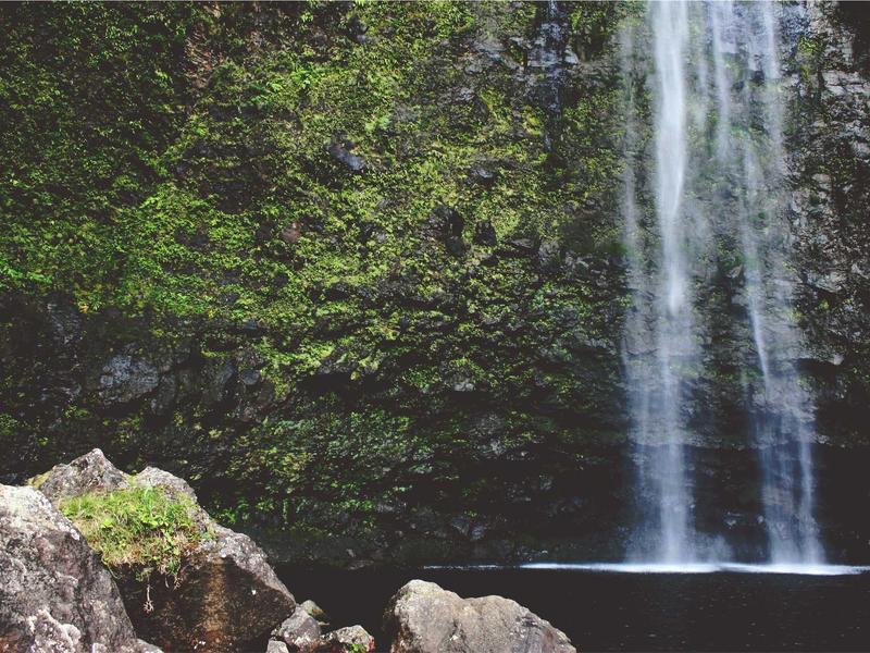 sudoku solver screenshot 6