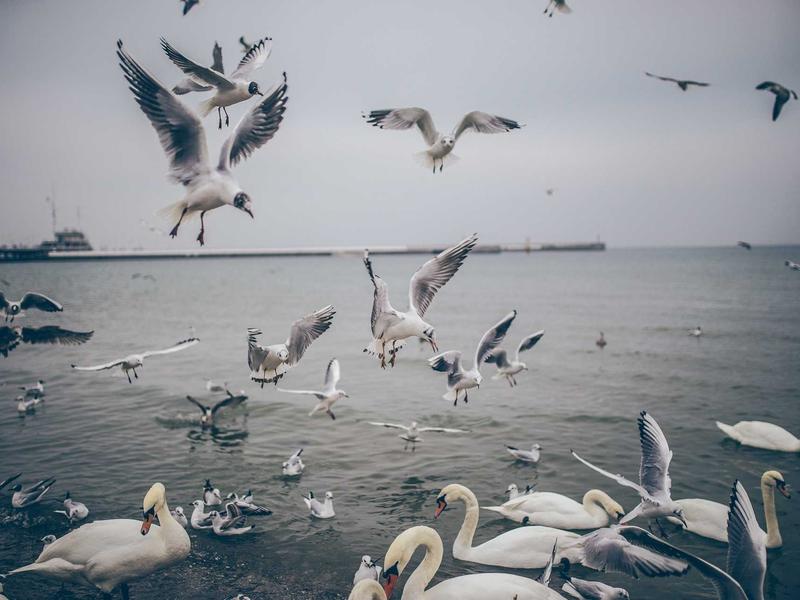 android screenshot 2